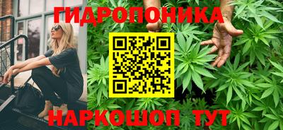 jwh Краснокаменск