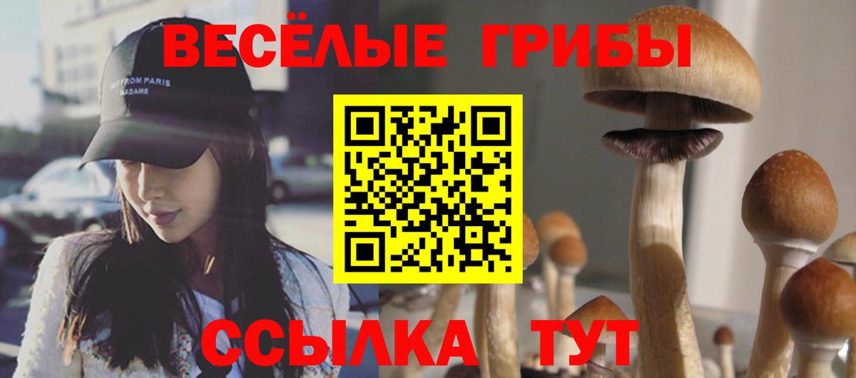 Псилоцибиновые грибы Magic Shrooms  Галлюциногенные грибы мухоморы  Вход с VPN  Котовск 