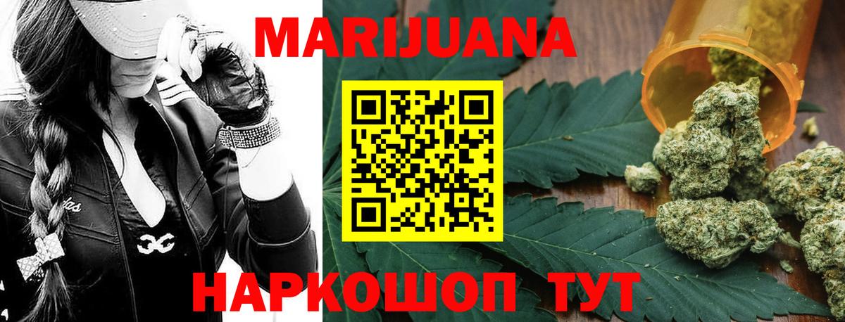 Бошки Шишки планчик Котовск